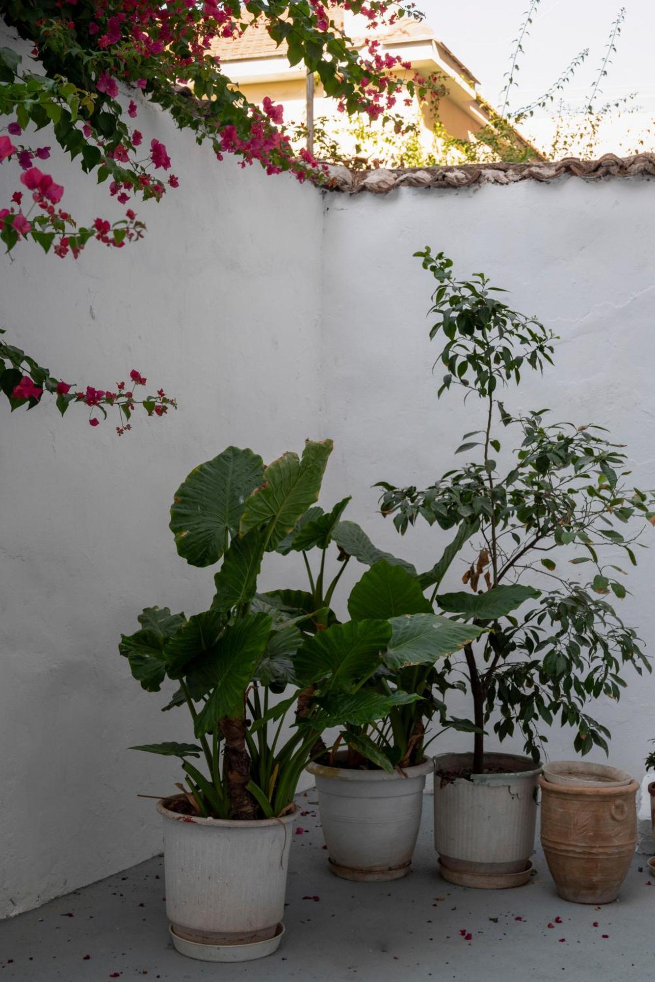 Thissio Getaway 2Ba Next To Athens Ancient Market Luaran gambar